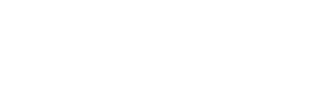 Goodman Executive Sedan & Limo Service