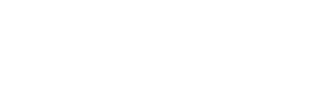 Goodman Executive Sedan & Limo Service